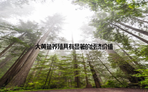 大黄鱼养殖具有显著的经济价值