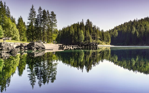 – 减少污染物排放