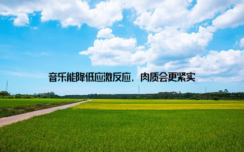 音乐能降低应激反应, 肉质会更紧实