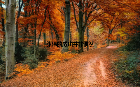 张伟的成功并非偶然