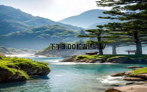 – 下午3:00检查透明度