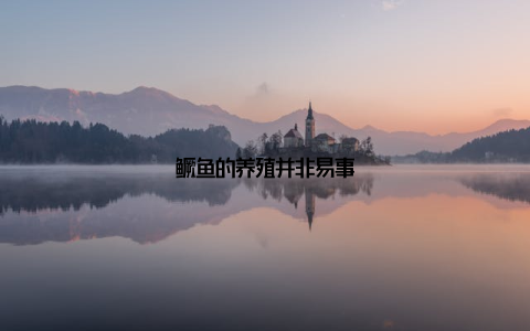 鳜鱼的养殖并非易事