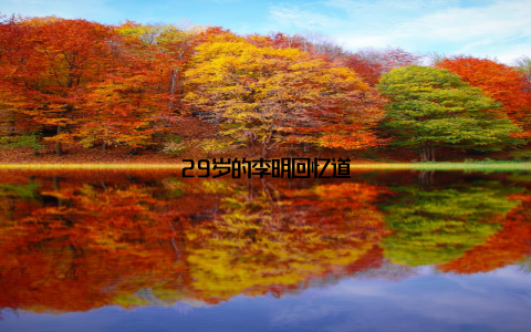 29岁的李明回忆道