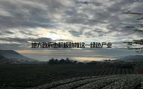 地方政府也积极助推这一绿色产业