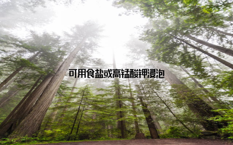 可用食盐或高锰酸钾浸泡