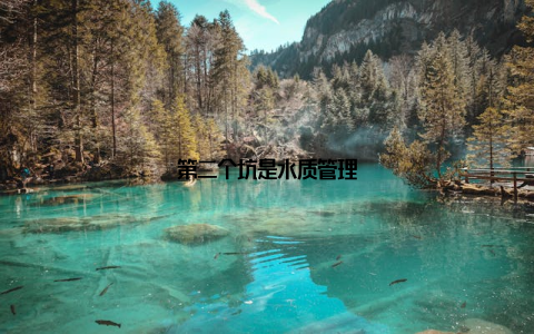 第二个坑是水质管理