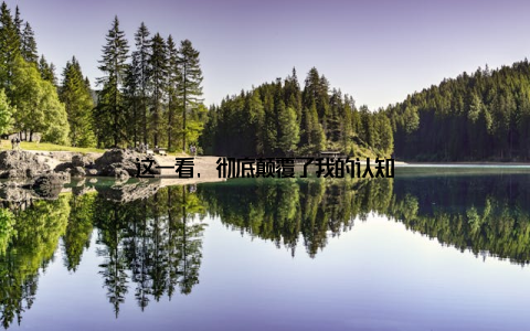 这一看, 彻底颠覆了我的认知