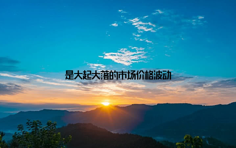 是大起大落的市场价格波动